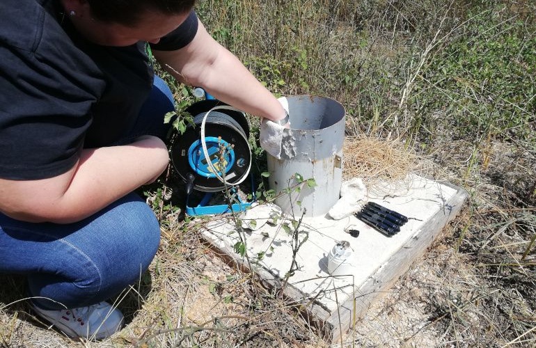 Terenski rad - pilot područje Bokanjac - Poličnik