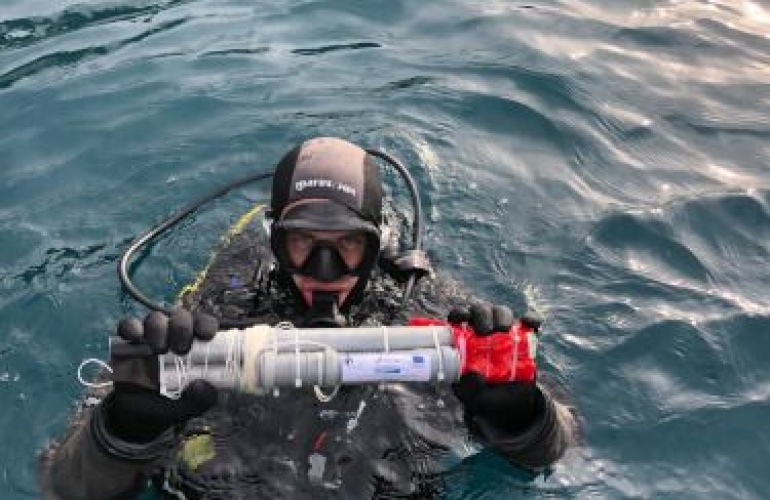 Terenski rad na Cresu - GFRI