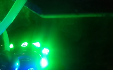 Terenski rad na pilot području Blatsko polje na otoku Korčuli